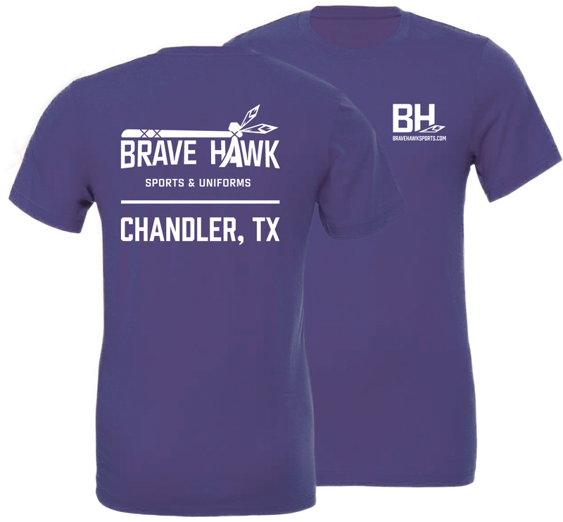 Load image into Gallery viewer, Brave Hawk Short Sleeve T-Shirts
